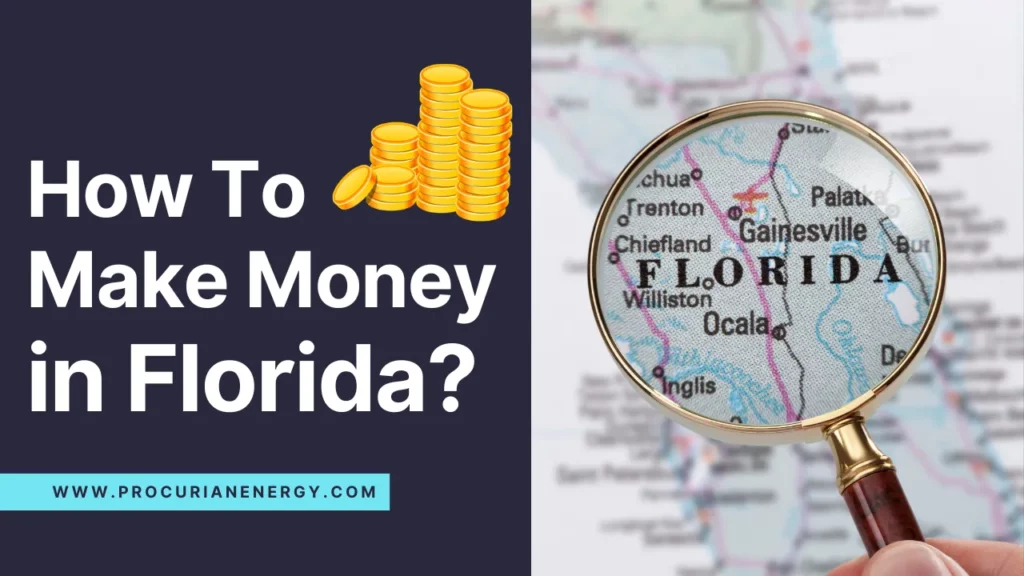 How To Make Money in Florida