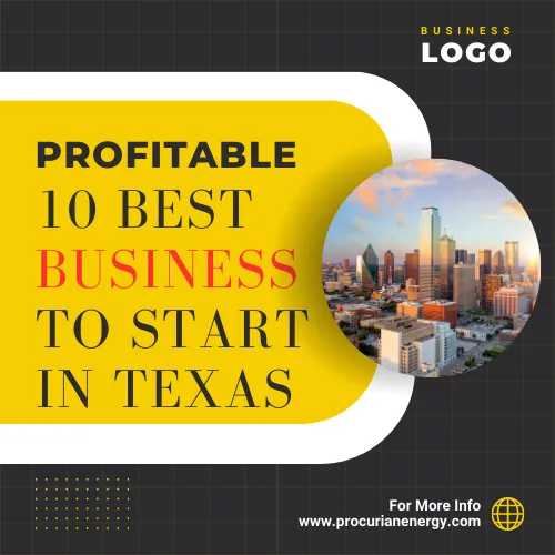 10 Best Business Ideas in Texas 