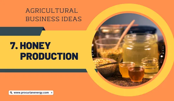 Honey Production Agricultural Business Ideas 