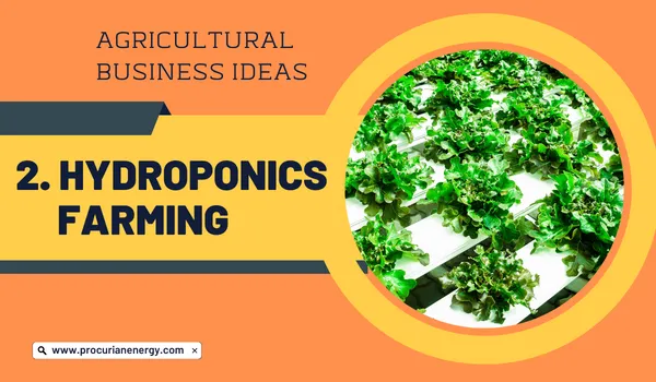 Hydroponics Farming Agricultural Business Ideas 