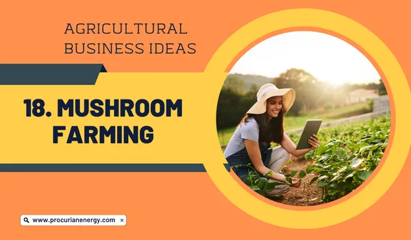 Mushroom Farming Agricultural Business Ideas 