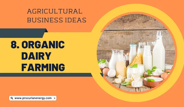 Organic Dairy Farming Agricultural Business Ideas 