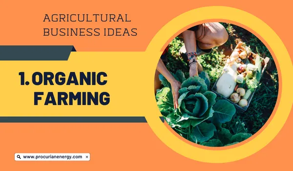 Organic Farming Agricultural Business Ideas 