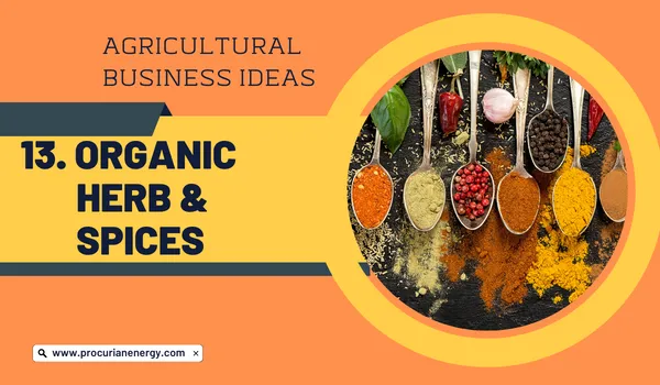 Organic Herb and Spice Production Agricultural Business Ideas 