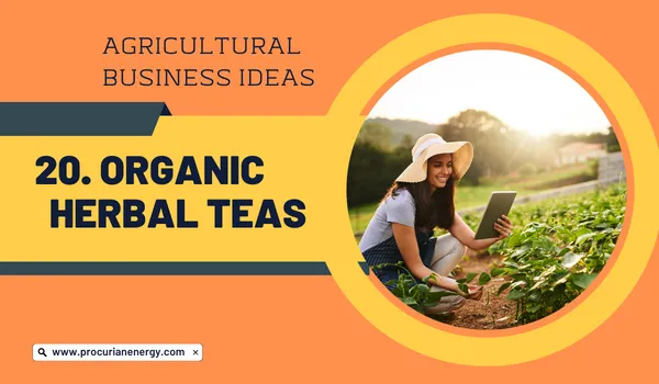 Organic Herbal Teas Agricultural Business Ideas 