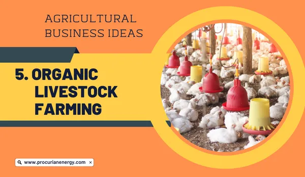 Organic Livestock Farming Agricultural Business Ideas 