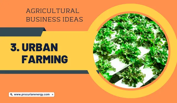 Urban Farming Agricultural Business Ideas 