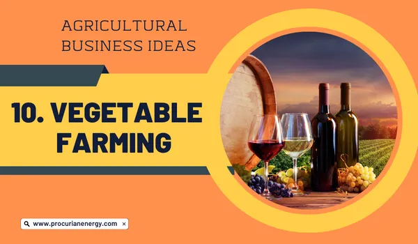 Vegetable farming Agricultural Business Ideas 