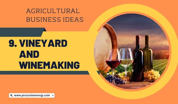 Vineyard and Winemaking Agricultural Business Ideas 