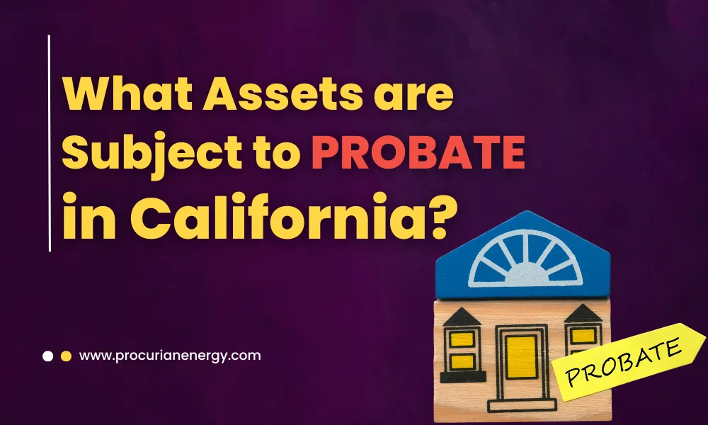 What Assets Are Subject to PROBATE in California
