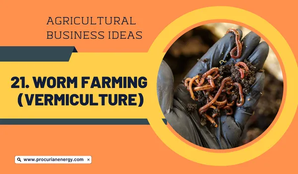 Worm farming (Vermiculture) Agricultural Business Ideas 